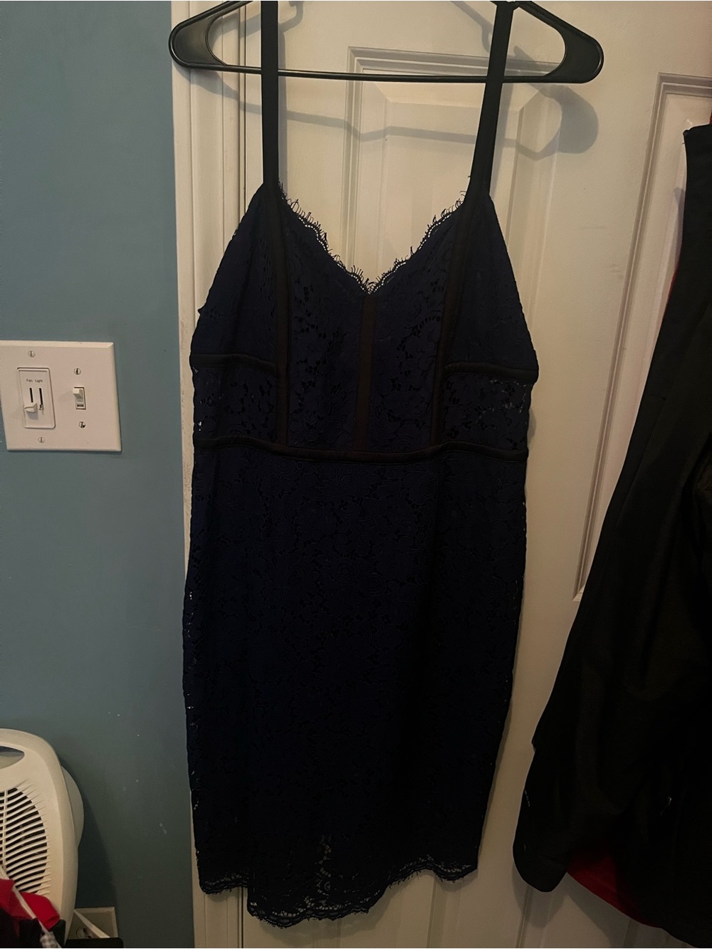 Express Navy Lace Dress with Scalloped V-Neck